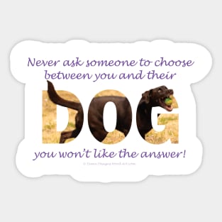 Never ask someone to choose between you and their dog you won't like the answer - chocolate labrador oil painting word art Sticker